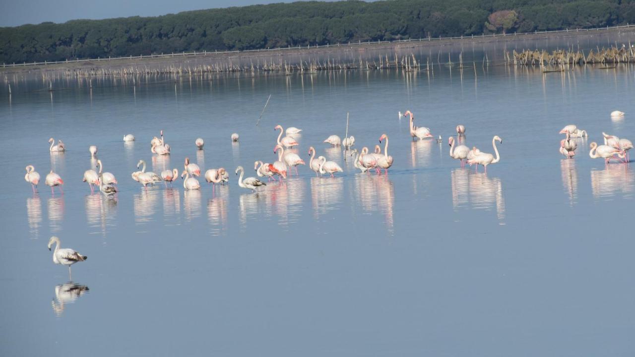 L'Isola Aer B&B Lesina Buitenkant foto